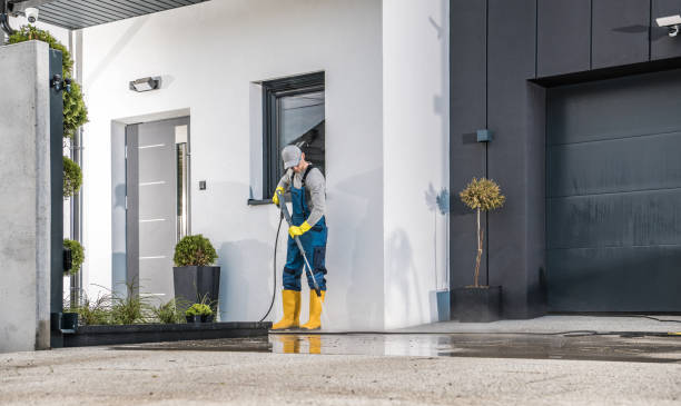 Best Vinyl Siding Pressure Washing in Traer, IA